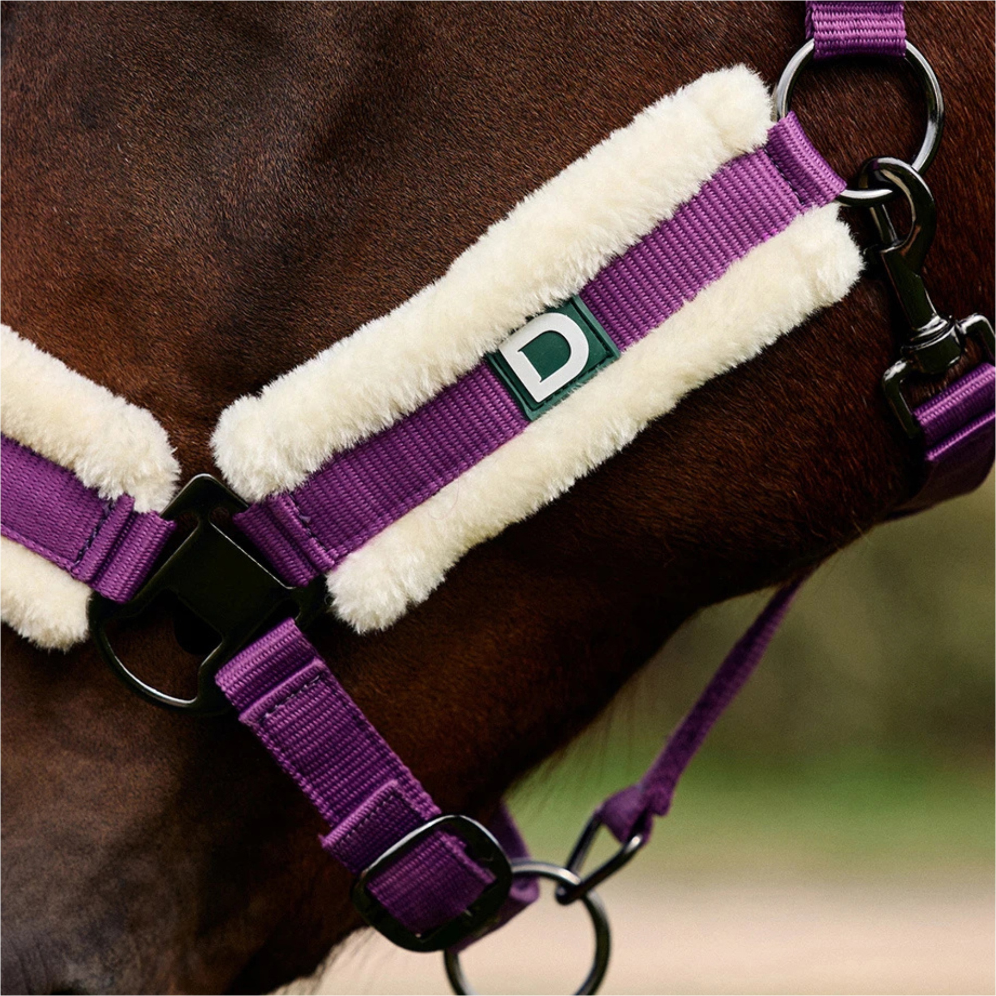 2026 Dublin Soft Fit Headcollar 1031034 - Dark Purple